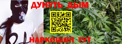 прущие крисы Новозыбков