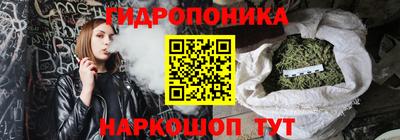 прущие крисы Новозыбков