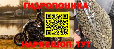 прущие крисы Новозыбков