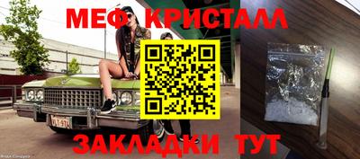 прущие грибы Обнинск