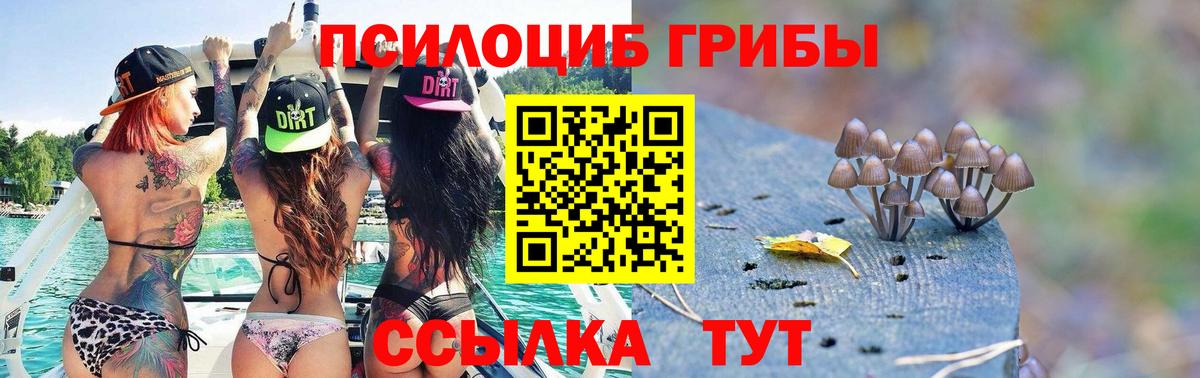 Ростов-на-Дону  Галлюциногенные грибы Psilocybine cubensis  Вход с VPN  Псилоцибиновые грибы Psilocybine cubensis 