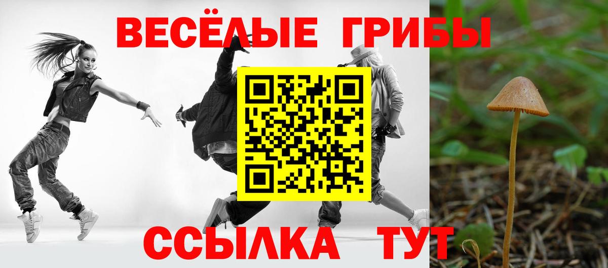 Псилоцибиновые грибы Psilocybe Ростов-на-Дону